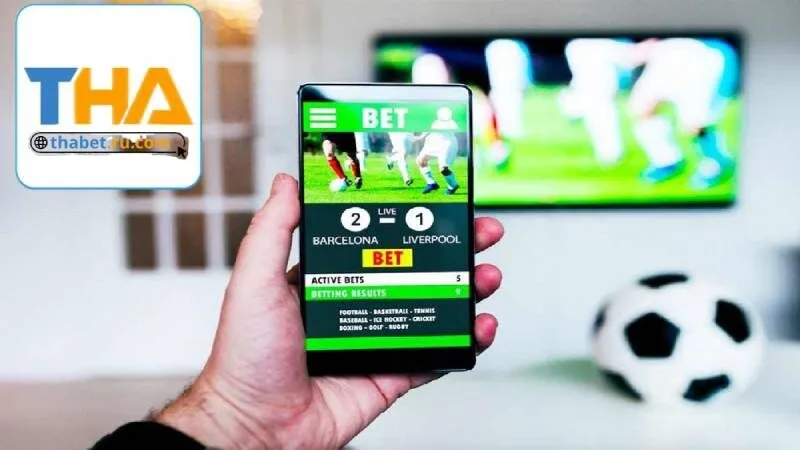 Nền tảng cấm mọi hành vi gian lận cá cược