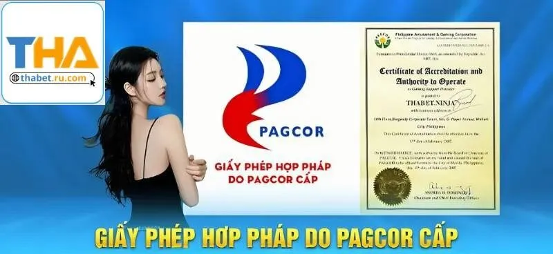 cấp giấy phép hoạt động cho Thabet